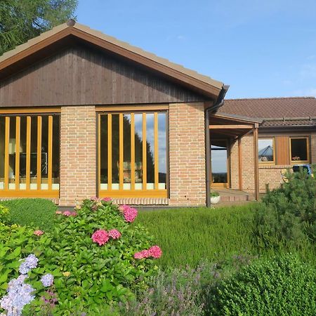 Hohegeiß Ferienhaus Sonne, Harz Und Sterne 빌라 외부 사진