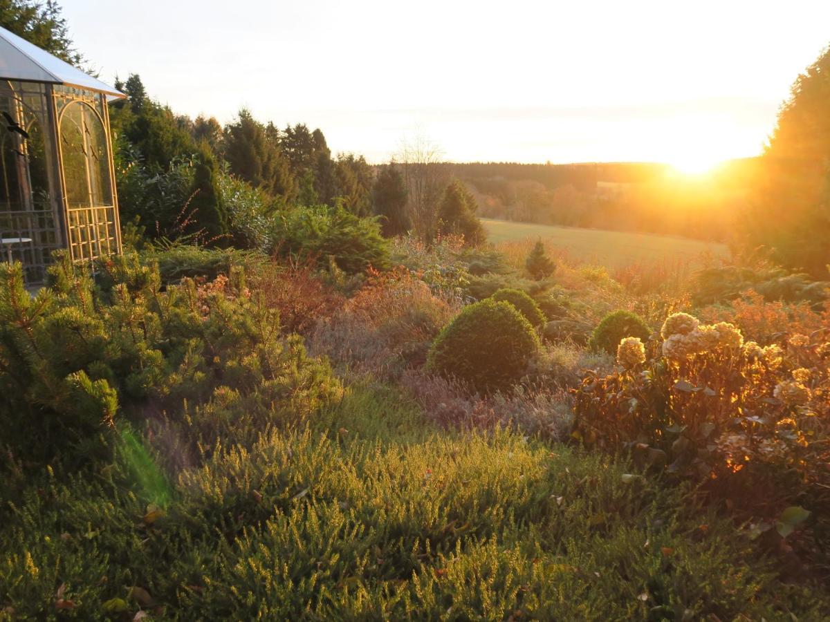 Hohegeiß Ferienhaus Sonne, Harz Und Sterne 빌라 외부 사진