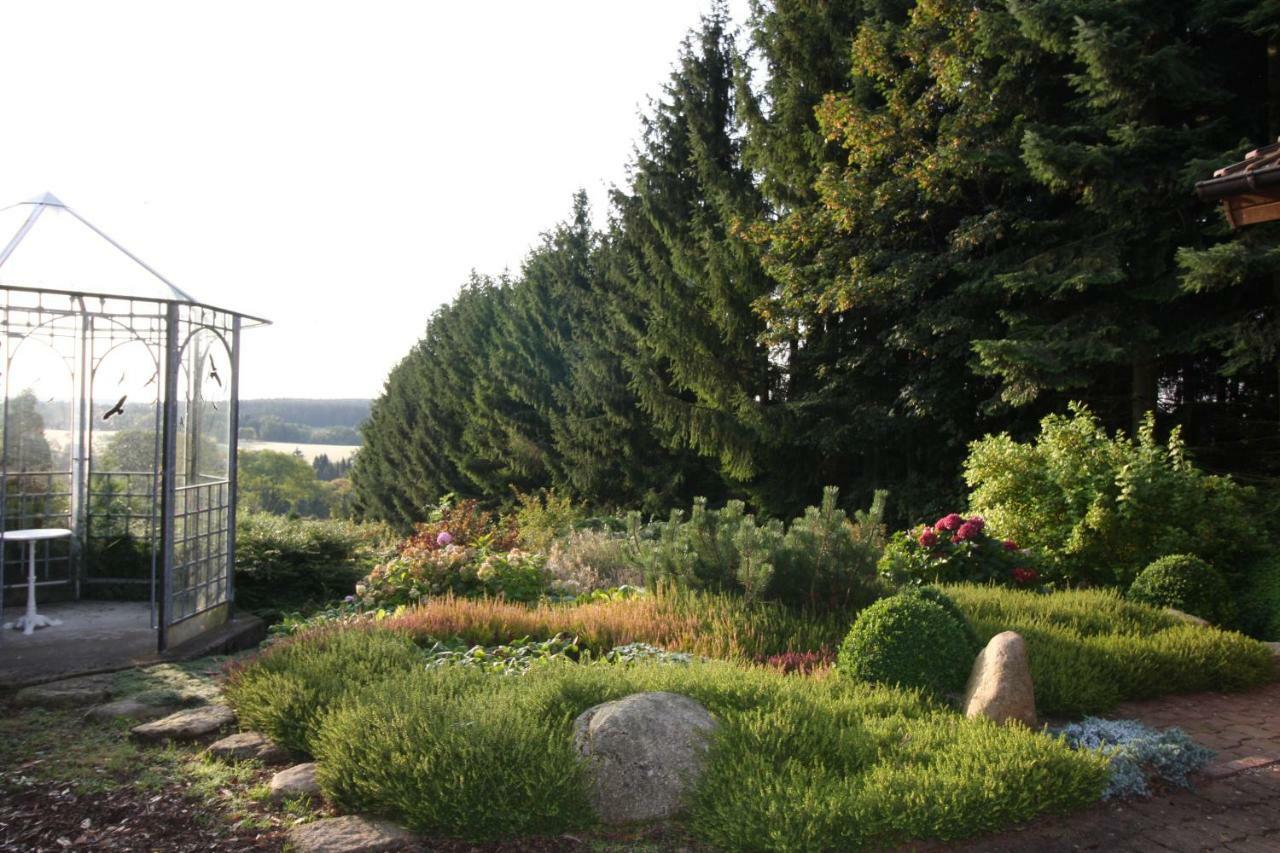 Hohegeiß Ferienhaus Sonne, Harz Und Sterne 빌라 외부 사진