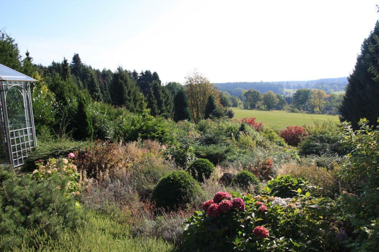 Hohegeiß Ferienhaus Sonne, Harz Und Sterne 빌라 외부 사진