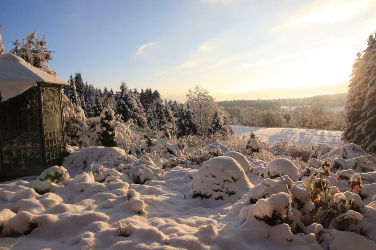 Hohegeiß Ferienhaus Sonne, Harz Und Sterne 빌라 외부 사진