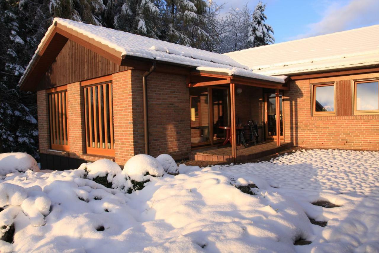 Hohegeiß Ferienhaus Sonne, Harz Und Sterne 빌라 외부 사진