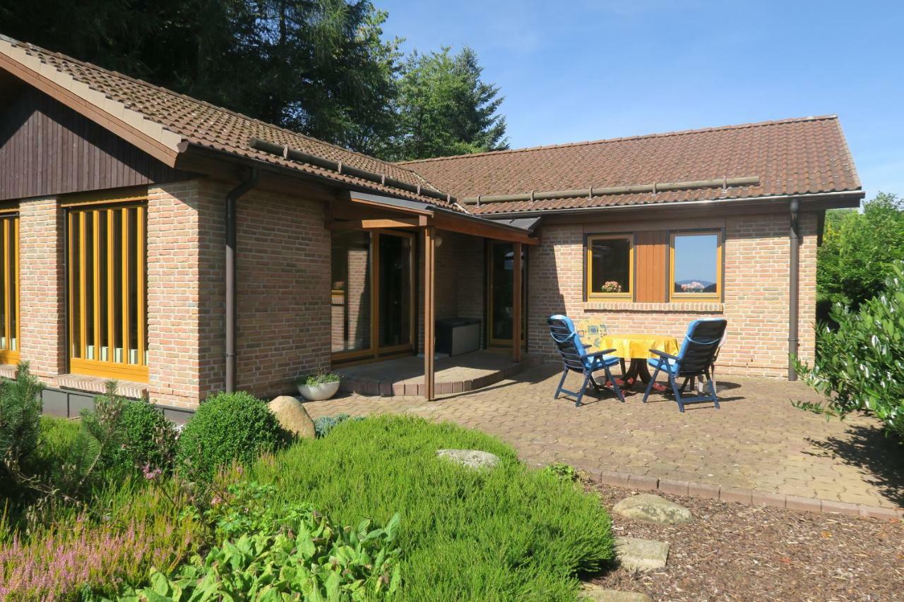 Hohegeiß Ferienhaus Sonne, Harz Und Sterne 빌라 외부 사진